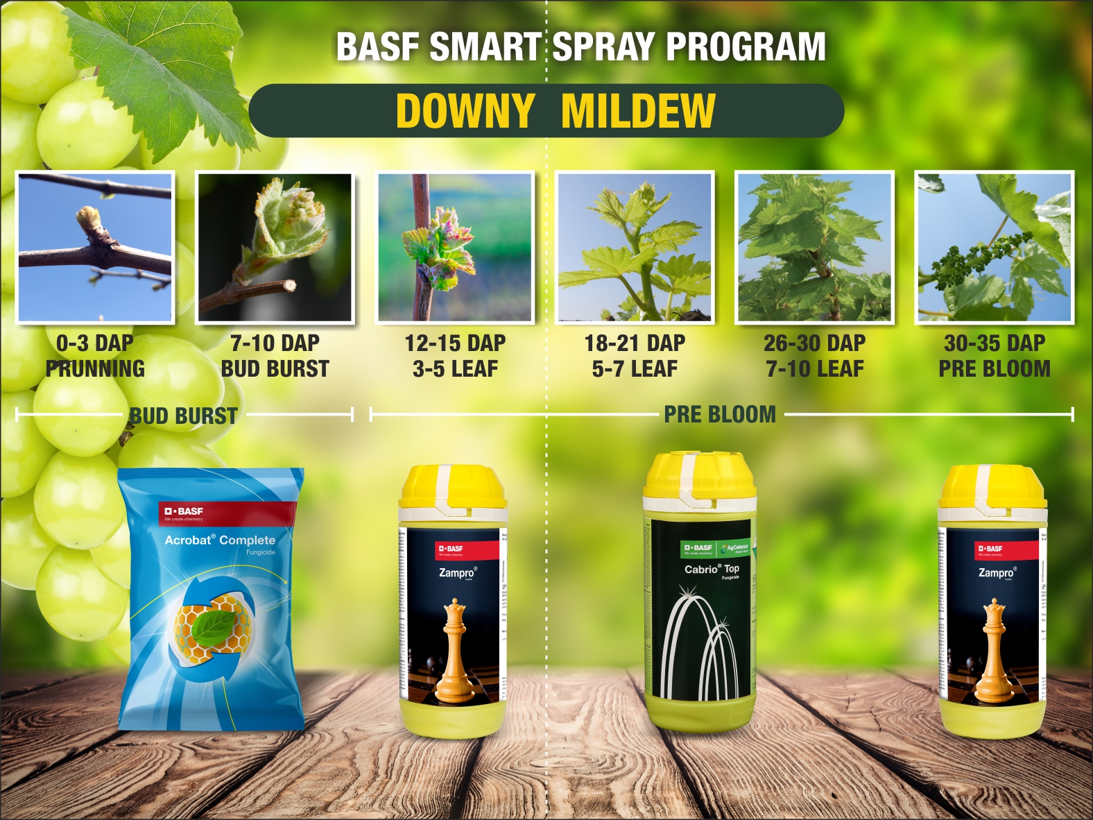 Solutions for Grapes BASF Crop Protection India
